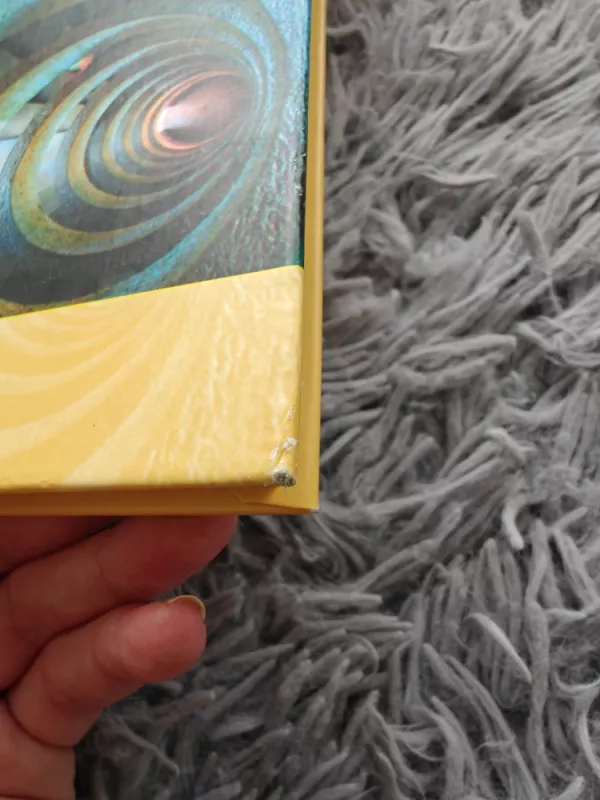 Terapijos dovana. Atviras laiškas naujosios kartos terapeutams ir jų pacientams - Irvin D. Yalom, knyga 3