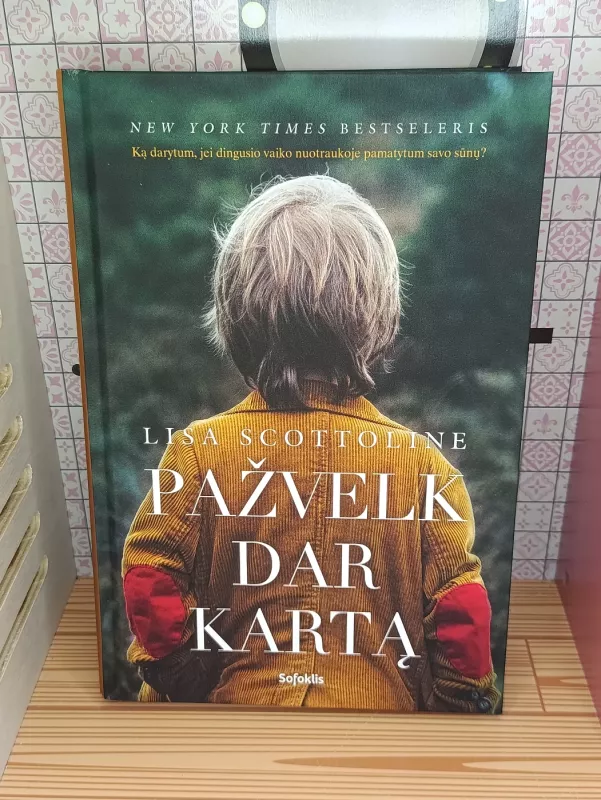 Pažvelk dar kartą - Lisa Scottoline, knyga 2