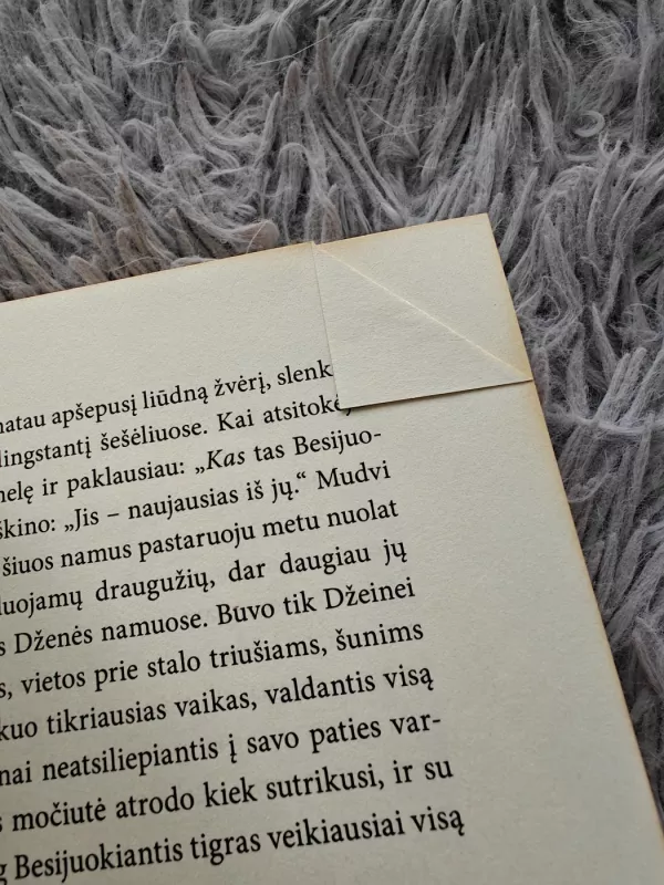 Stebuklingi metai: kaip suprasti ir įveikti ankstyvosios vaikystės sunkumus - Selma H. Fraiberg, knyga 3