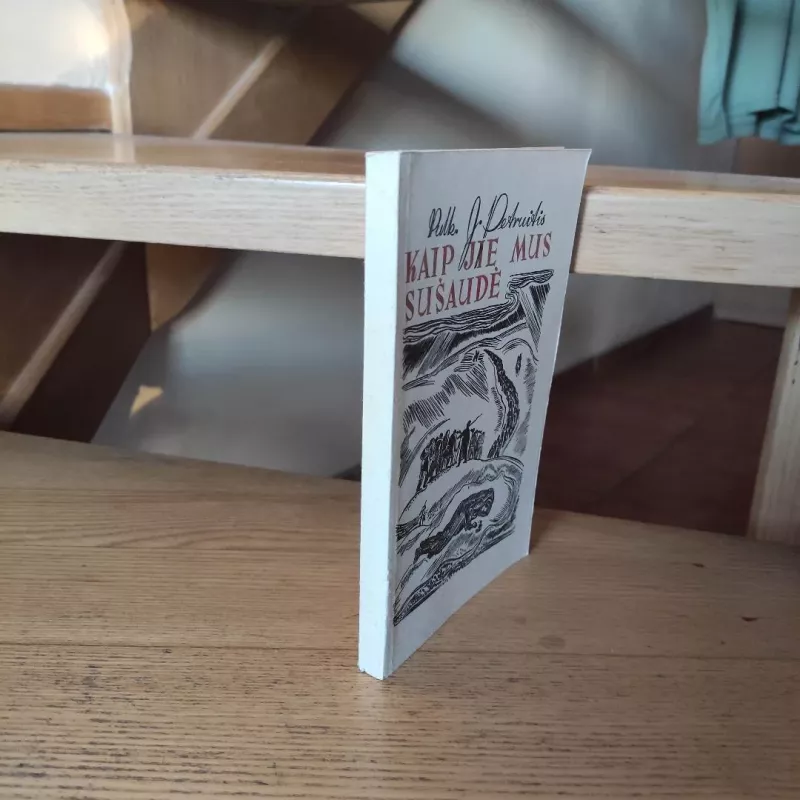 Kaip jie mus sušaudė - J. Petruitis, knyga 4