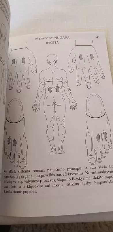 Su Džok pamokos. I dalis - Arūnas Jonuškis, knyga 4