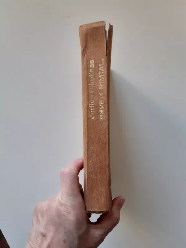 Beveik rimtai - Jurijus Nikulinas, knyga 3