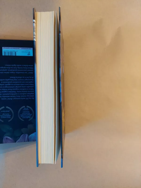 Saros raktas - Tatiana de Rosnay, knyga 5