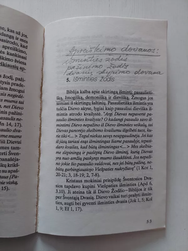 Gyvenimas su šventąja dvasia - Giedrius Saulytis, knyga 4