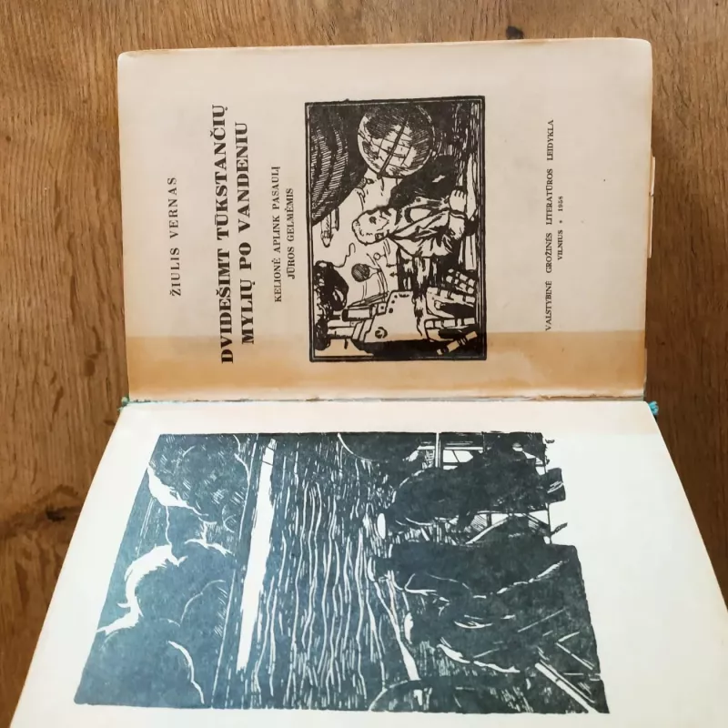 Dvidešimt tūkstančių mylių po vandeniu - Žiulis Vernas, knyga 3