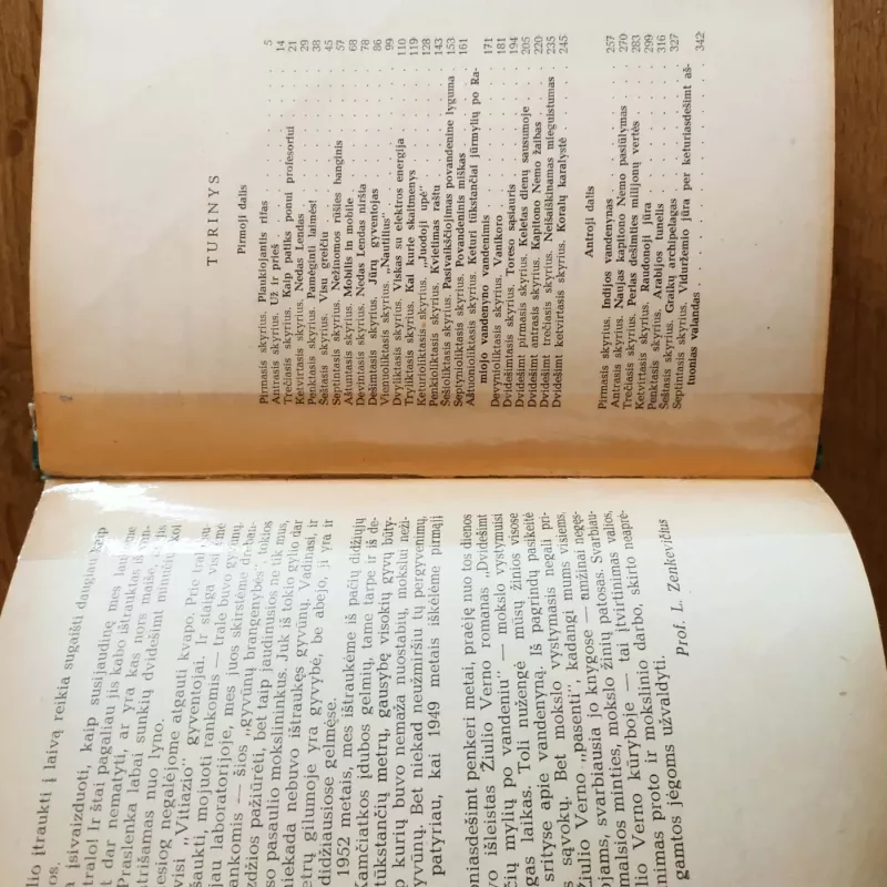 Dvidešimt tūkstančių mylių po vandeniu - Žiulis Vernas, knyga 4