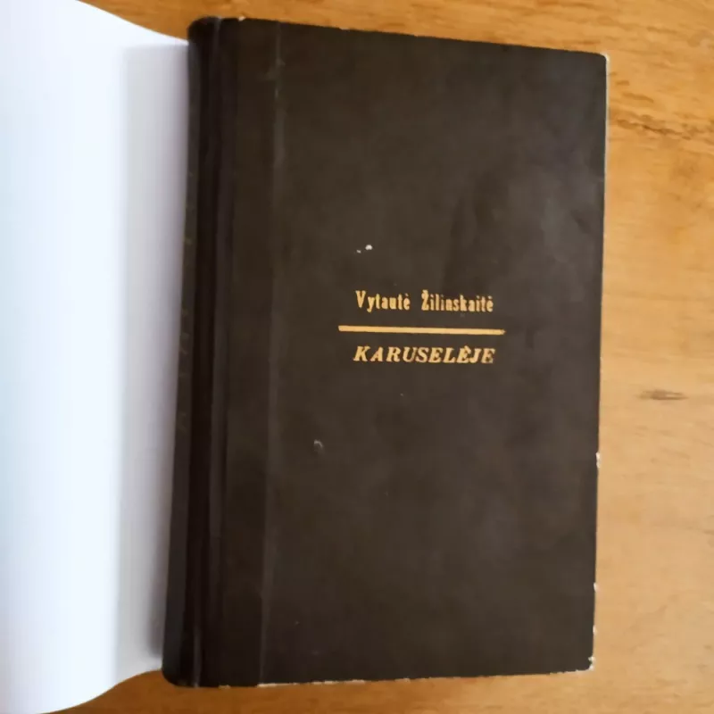 Karuselėje - Vytautė Žilinskaitė, knyga 3