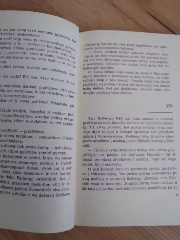 Baltaragio malūnas arba kas dėjosi anuo metu Paudruvės krašte - Kazys Boruta, knyga 5