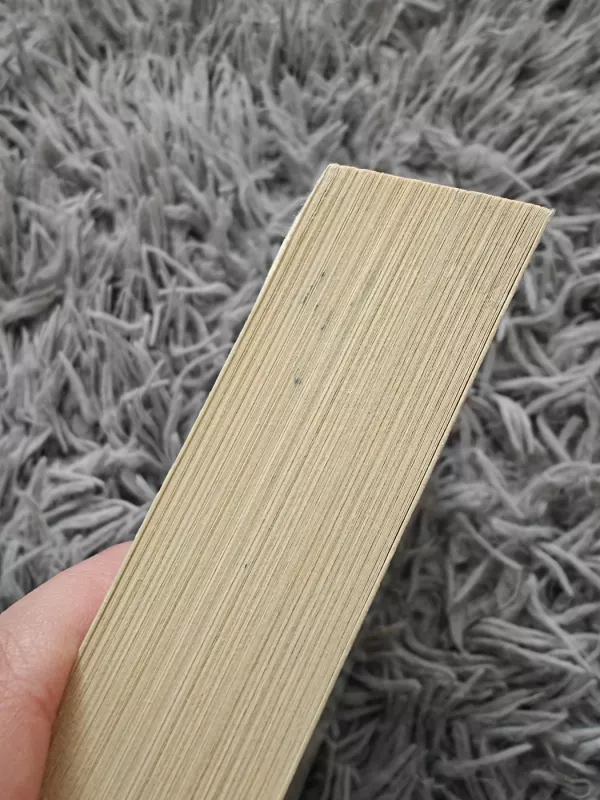 Pamilk ligą savo - Valerijus Sinelnikovas, knyga 4