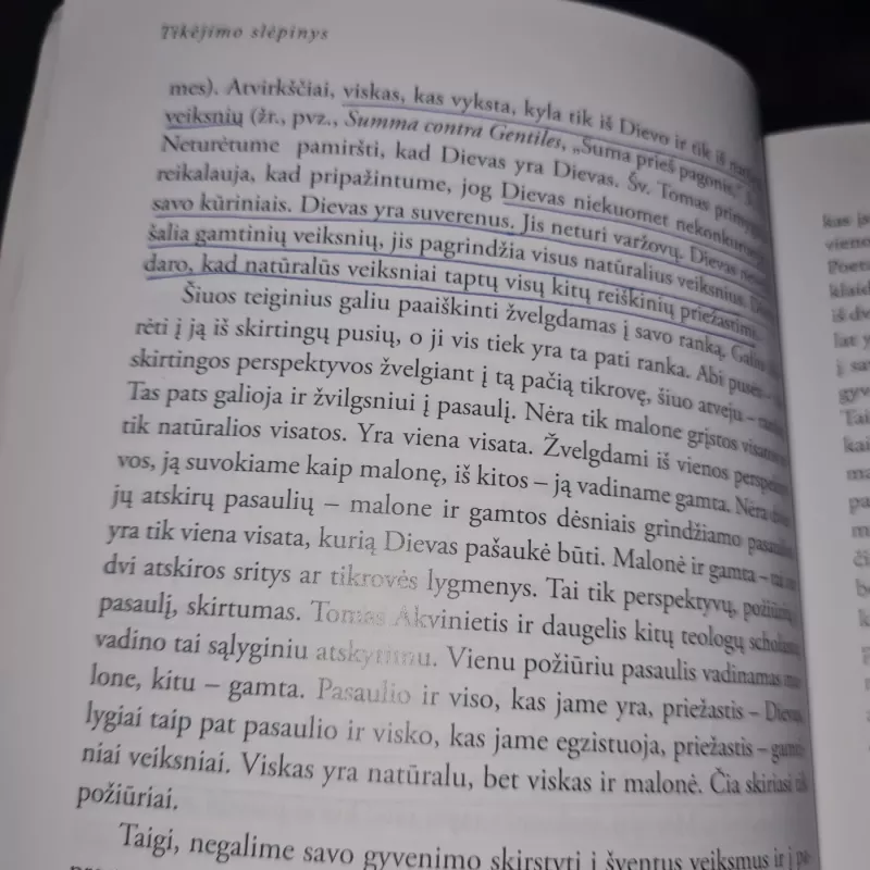 Tikėjimo slėpinys. Įvadas į katalikybę - Michael Himes SJ, knyga 6