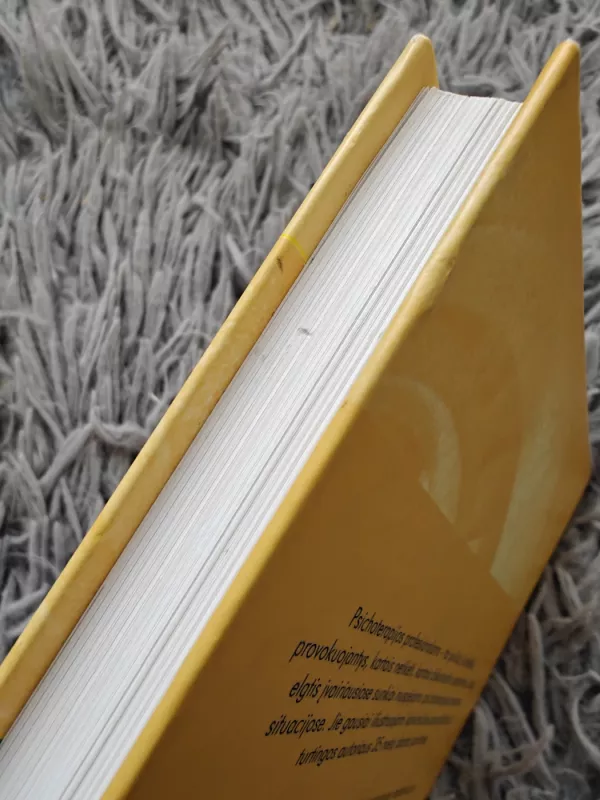 Terapijos dovana. Atviras laiškas naujosios kartos terapeutams ir jų pacientams - Irvin D. Yalom, knyga 4