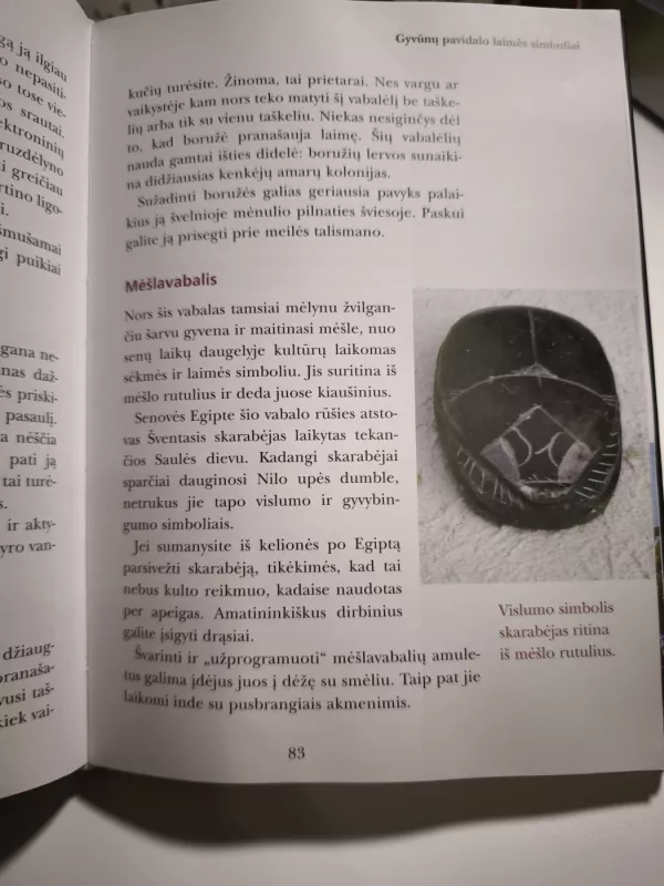 Talismanai ir amuletai - Maria Leondin, knyga 5