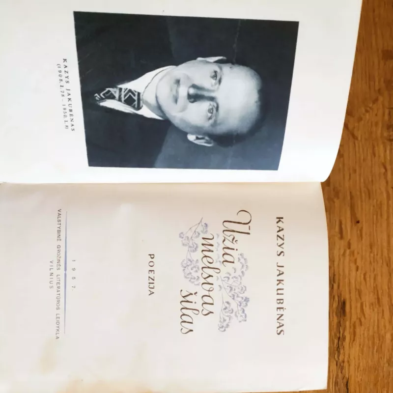 Ūžia melsvas šilas - Kazys Jakubėnas, knyga 2