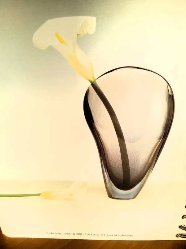 Mapplethorpe flowers - The Estate of Robert Mapplethorpe, knyga 5