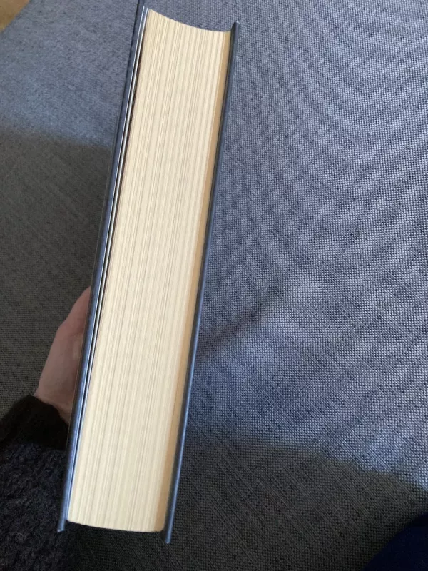 Vilniaus iliuzionai - Sonata Žalneravičiūtė, knyga 3