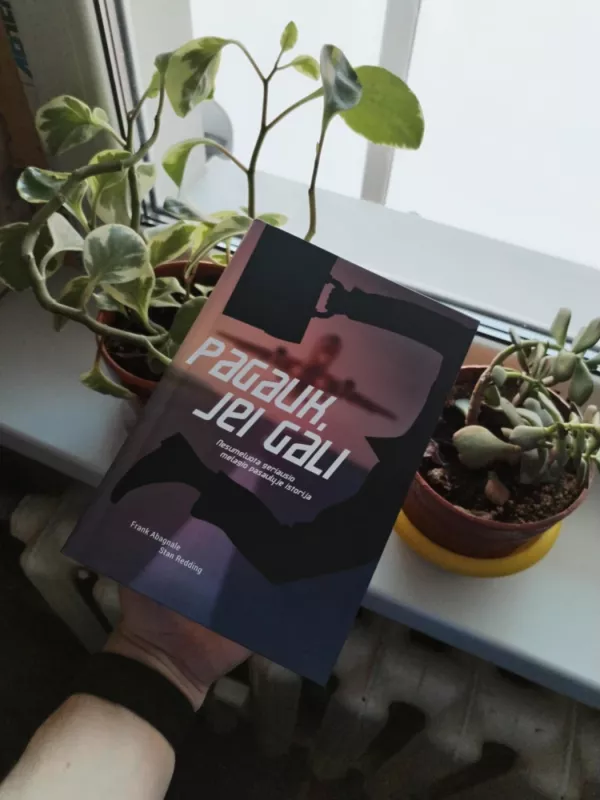 Pagauk, jei gali - Frank Abagnale, knyga 2