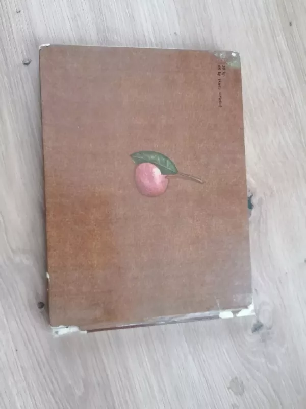 Dainos dienoraštis - Eduardas Mieželaitis, knyga 6