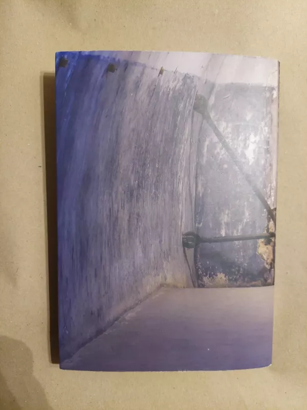 Pabėgimas - Aleksas Faitelsonas, knyga 3