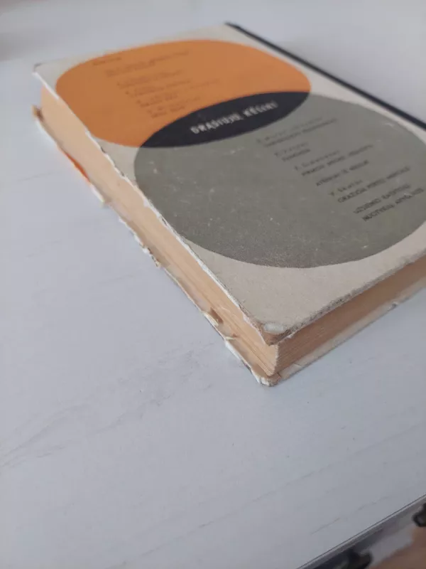 Vaiduoklių mokykla - Romanas Kimas, knyga 3