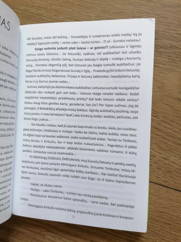 Sakmė apie senobę - Izidorius Ignatavičius, knyga 6