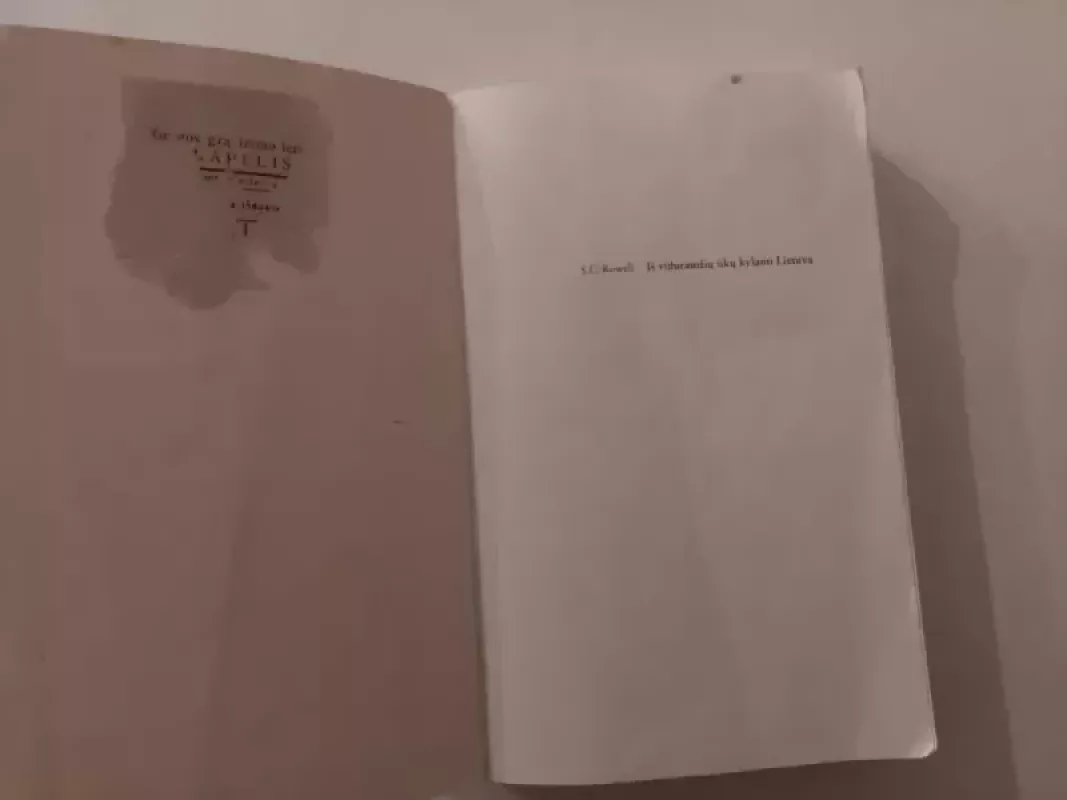 Iš viduramžių ūkų kylanti Lietuva: pagonių imperija Rytų ir Vidurio Europoje, 1295-1345 - S. C. Rowell, knyga 6