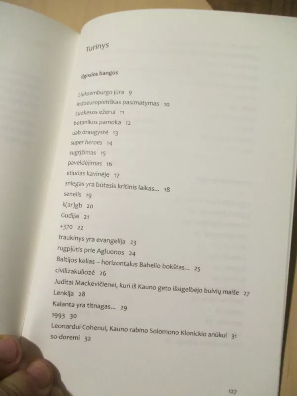 Liuksemburgo jūra - Rūta Vyžintaitė, knyga 6