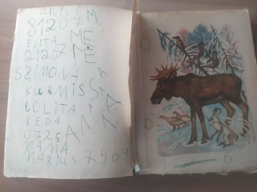 Šarkų tarškalai - Nikolajus Sladkovas, knyga 6