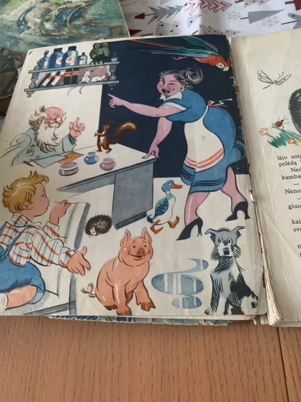 Daktaras Aiskauda - Kornejus Čiukovskis, knyga 4