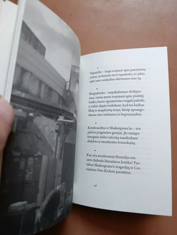 Mažasis patirties žemėlapis: mintys ir aforizmai - Leonidas Donskis, knyga 6