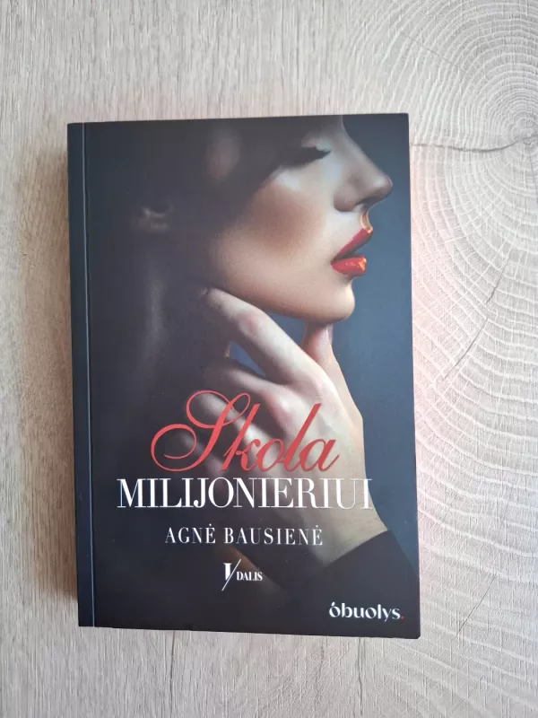 Skola milijonieriui - Agnė Bausienė, knyga 2