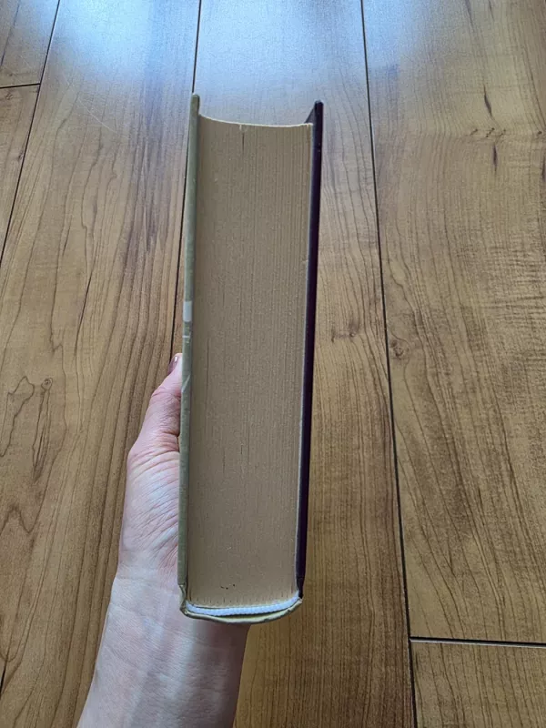 Džeinė Eir - Šarlotė Brontė, knyga 4