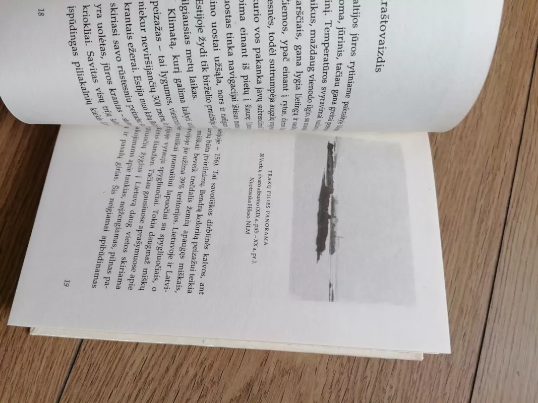 Lietuva Pabaltijy: istorijos ir kultūros bruožai - Autorių Kolektyvas, knyga 5