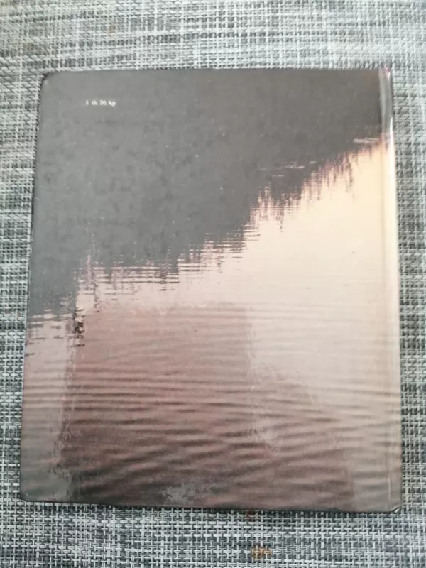 Žuvinto metai - Vytautas Nedzinskas, knyga 3