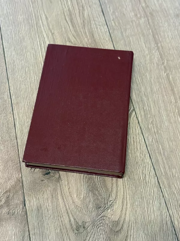 H. K. Andersenas. Pasakos ir istorijos - H. K. Andersenas, knyga 4