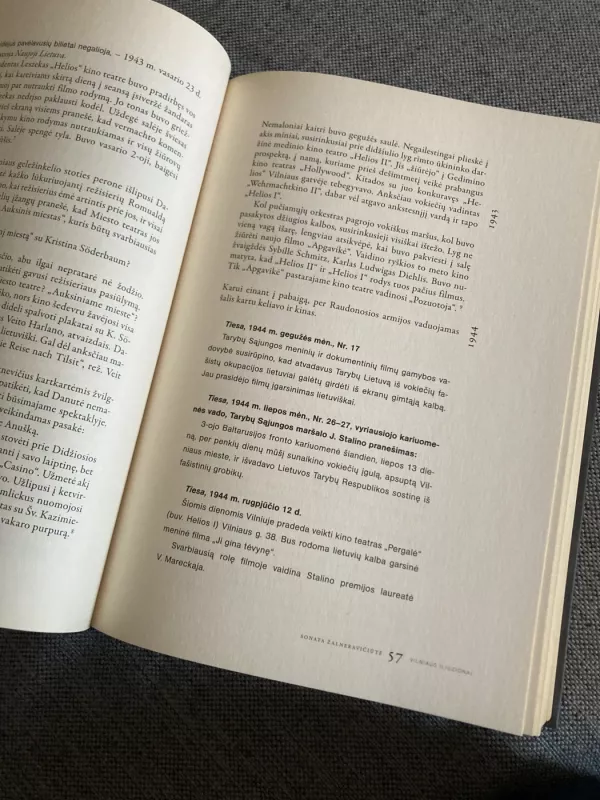 Vilniaus iliuzionai - Sonata Žalneravičiūtė, knyga 6