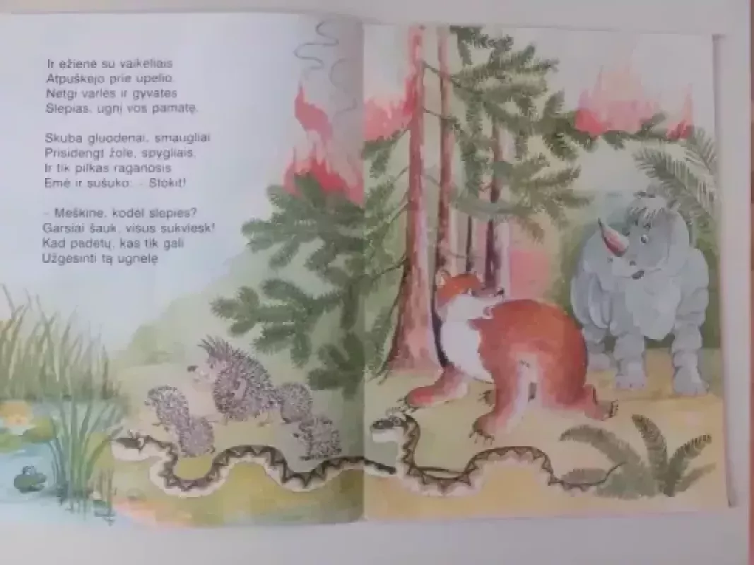 Gaisras - Danutė Kulvietienė, knyga 4