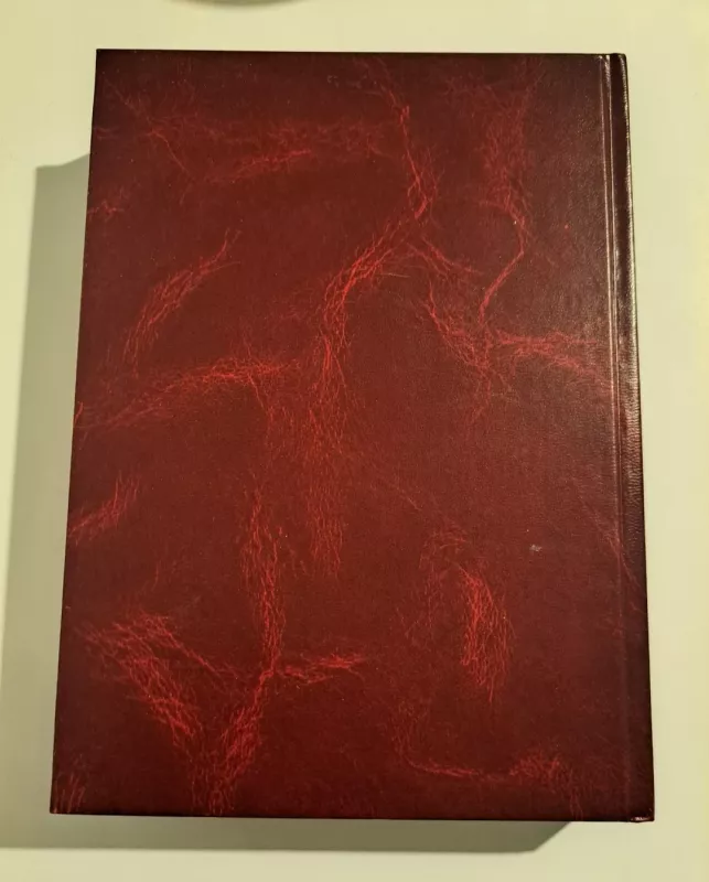 Anglų-lietuvių kalbų statybos terminų žodynas - Antanas Kudzys, knyga 3