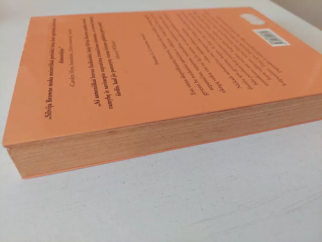 Gyvenimas anapus - Sylvia Browne, knyga 5