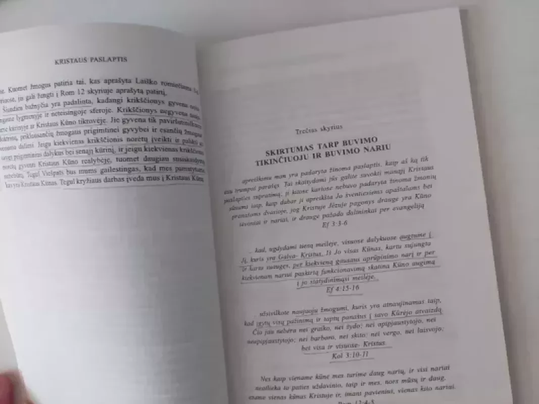 Kristaus paslaptis - Watchman Nee, knyga 6