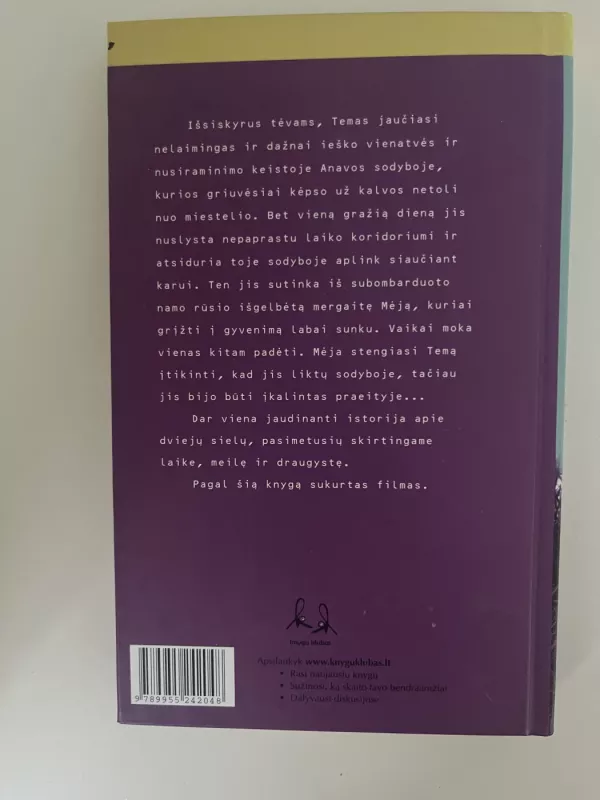 Mėjos angelas - Melvin Burgess, knyga 3