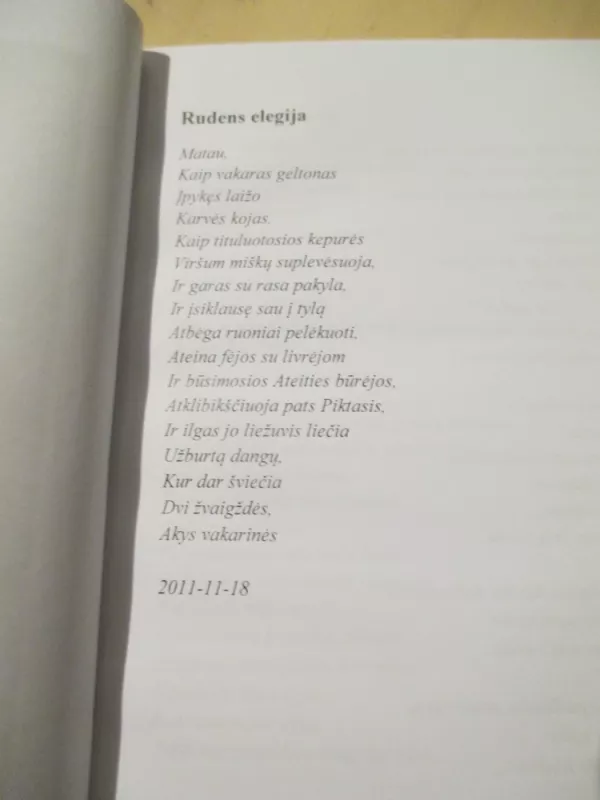 Sambrėškio tyloje - Silvija Juodzevičiūtė, knyga 6