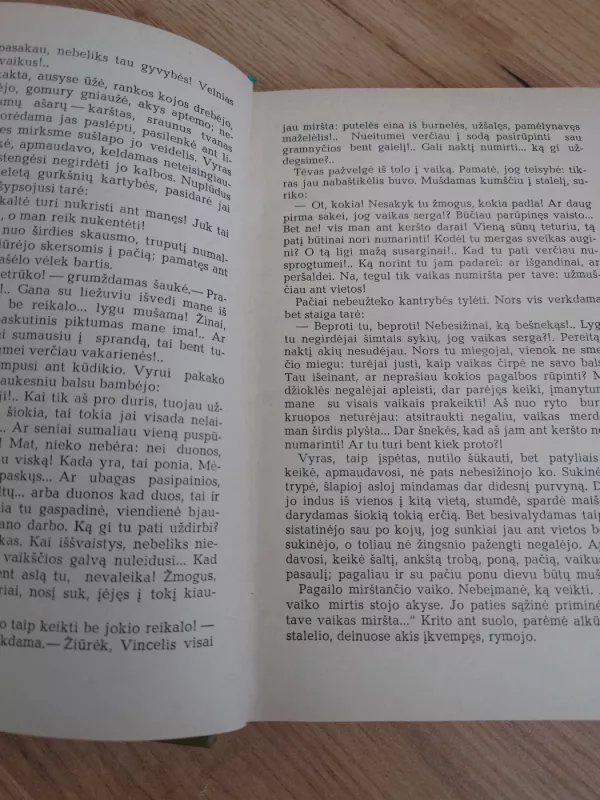 Prie užvertos langinės - Autorių Kolektyvas, knyga 6