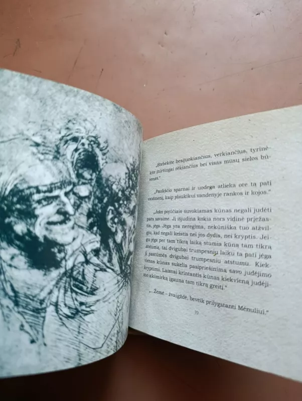 Septyni gyvenimo principai - Leonardas Da Vinčis, knyga 6