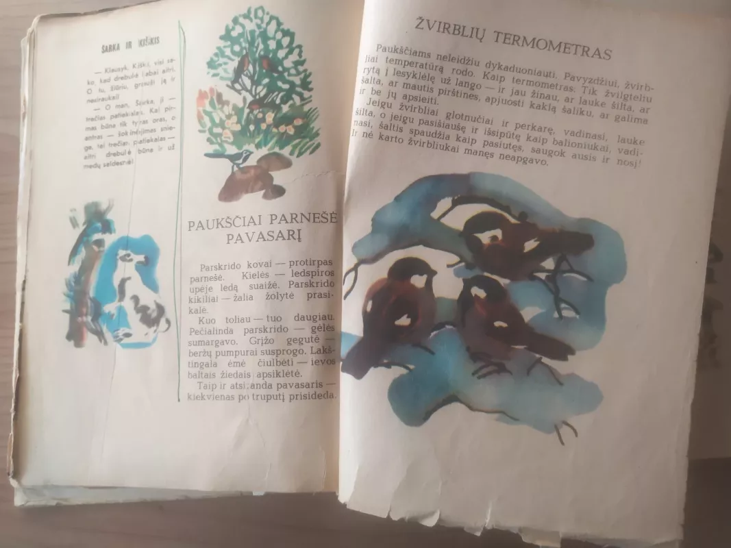 Šarkų tarškalai - Nikolajus Sladkovas, knyga 4