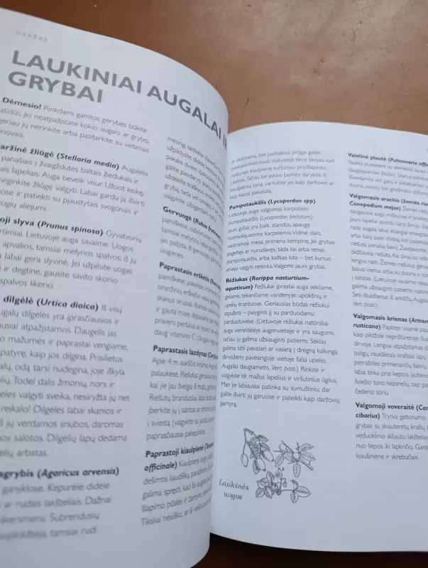 Gyvenu užmiestyje - Autorių Kolektyvas, knyga 5