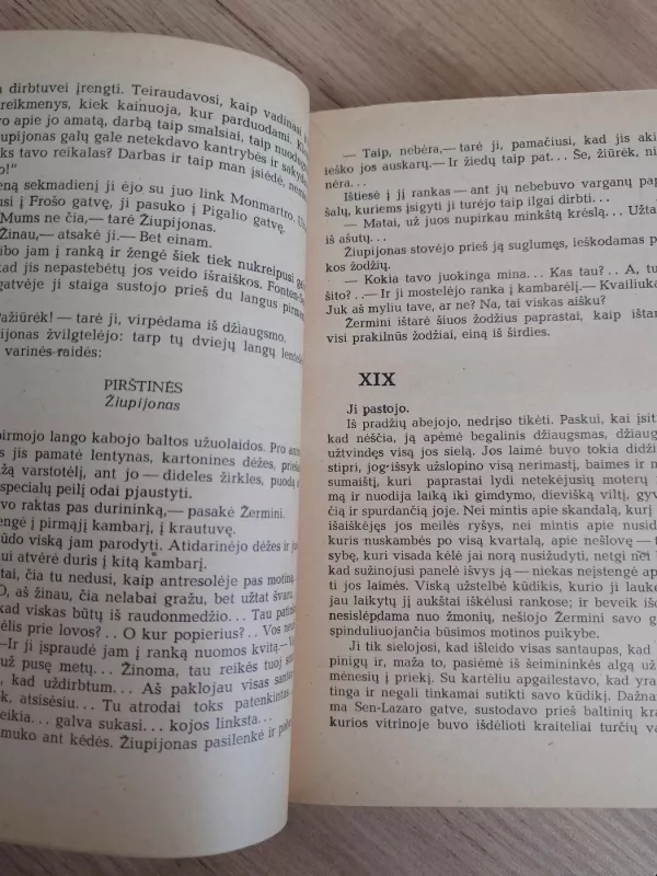 Žermini Laserte. Dienoraštis - Edmonas ir Žiulis de Gonkūrai, knyga 4