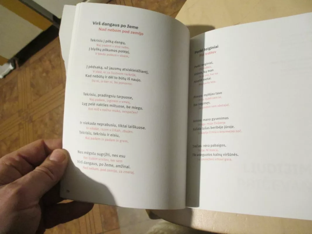 Degantys liežuviai. Goreči jeziki - Aleš Šteger, knyga 6