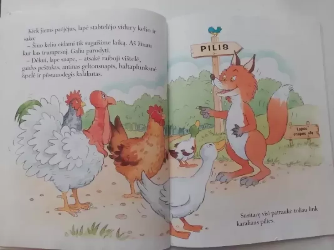 Raiboji vištelė - Jackie Andrews, knyga 4