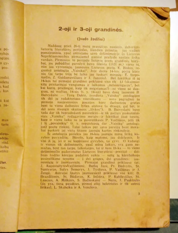 Pirmasis dešimtmetis:18 poetų - Autorių Kolektyvas, knyga 5