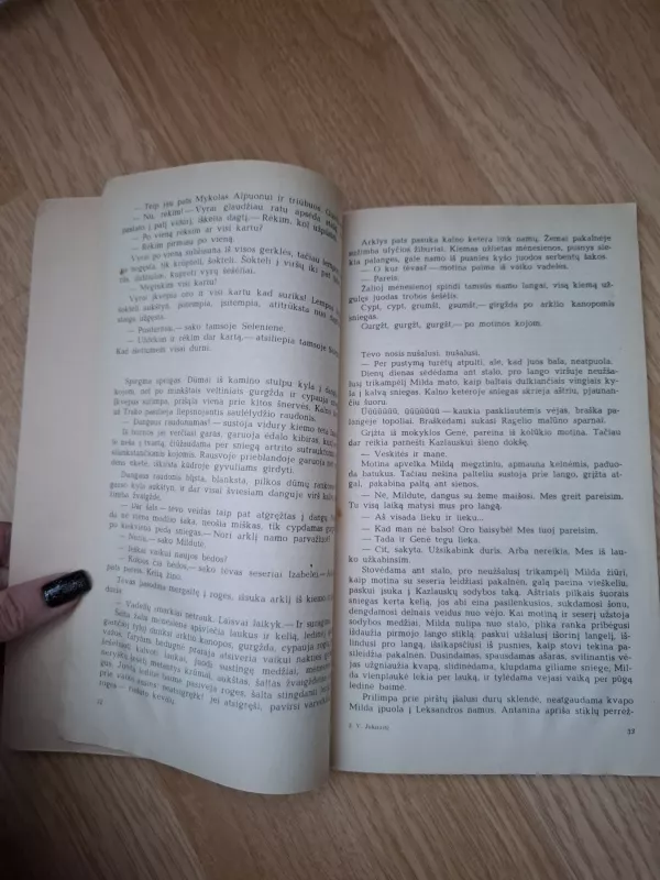 Šermenys - Vanda Juknaitė, knyga 3